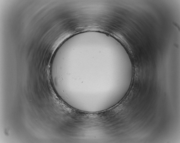 X0000099941190200806131418