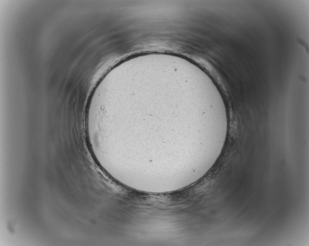 X0000099941191200806131418