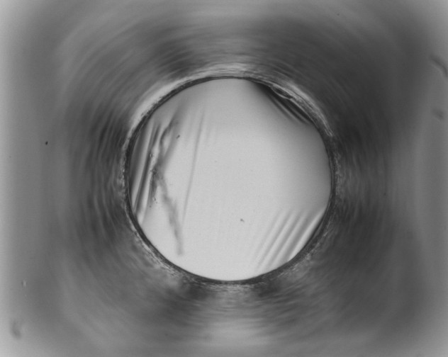 X0000099941192200806131418