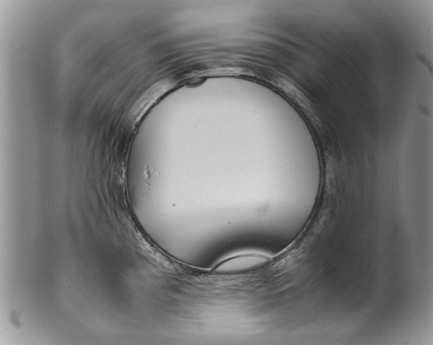 X0000099941193200806131418