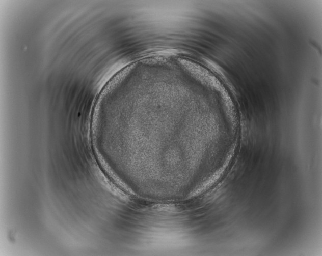 X0000099941194200806131418