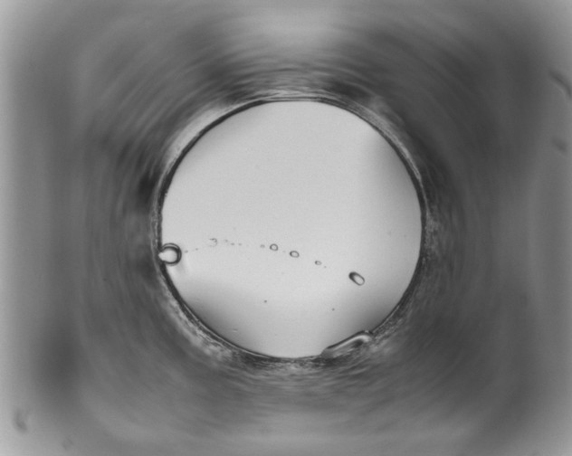 X0000099941195200806131418