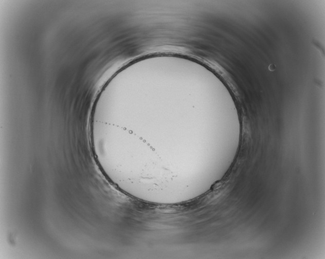 X0000099941199200806131418