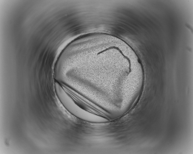 X0000099941200200806131418