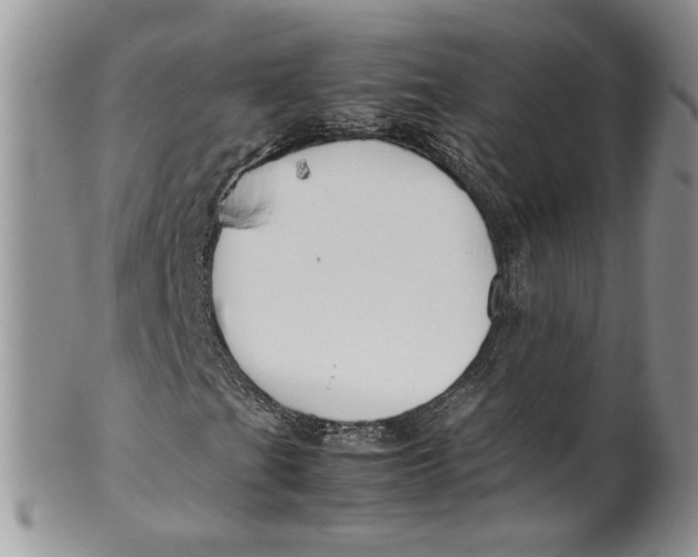 X0000099941201200806131417