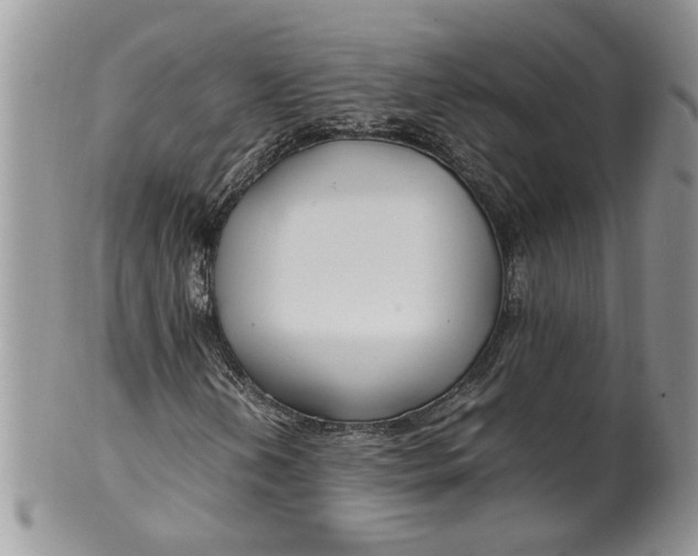 X0000099941202200806131417