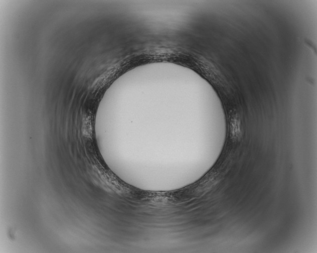 X0000099941204200806131417