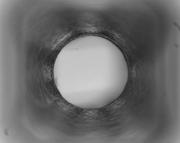 X0000099941205200806131417