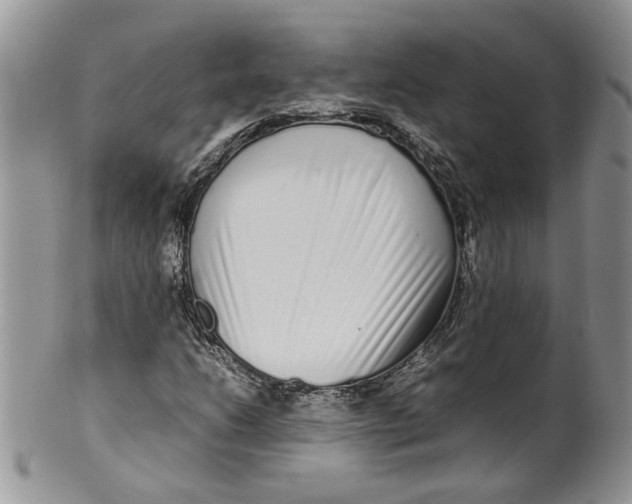 X0000099941206200806131417