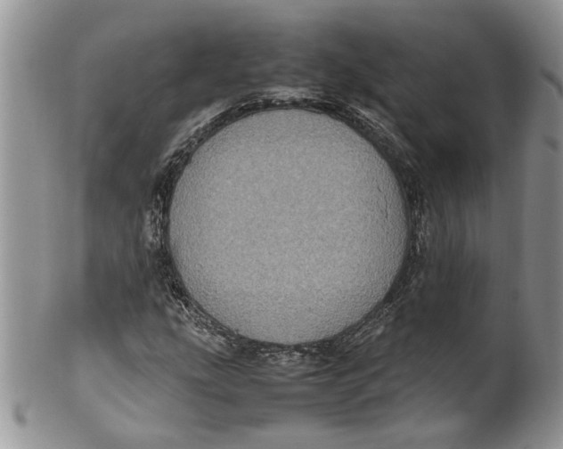 X0000099941207200806131417