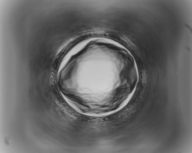 X0000099941208200806131417