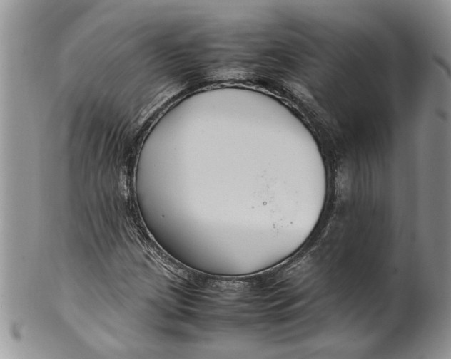 X0000099941209200806131417