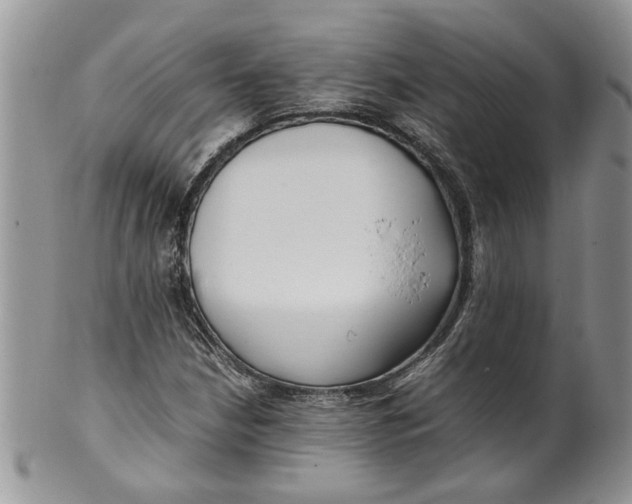 X0000099941210200806131417