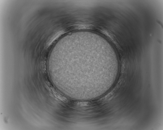 X0000099941211200806131417