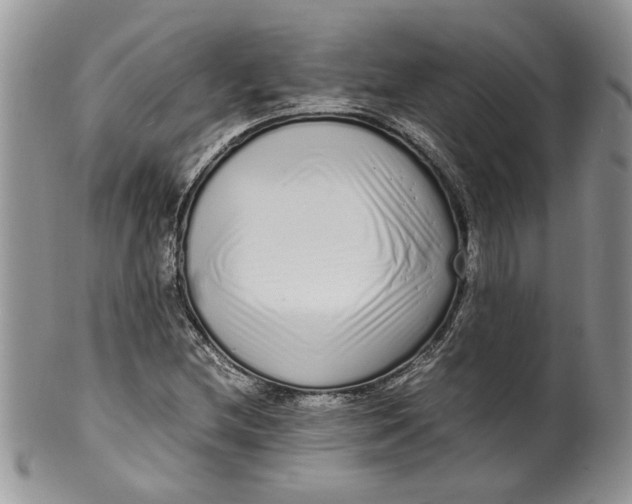 X0000099941212200806131417