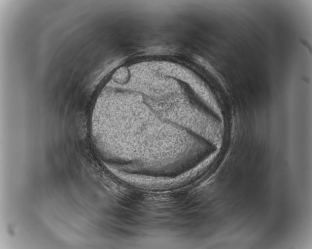 X0000099941213200806131417