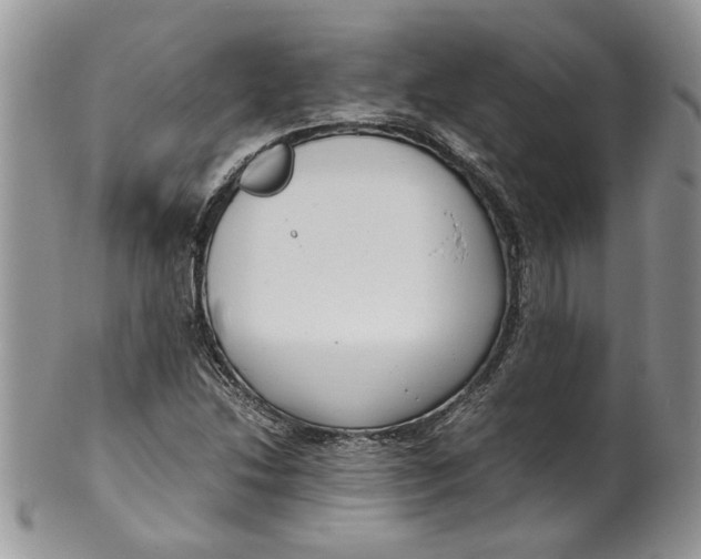 X0000099941214200806131417