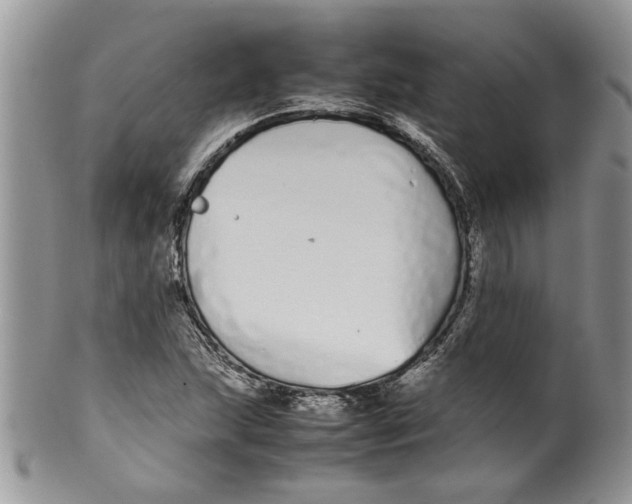 X0000099941215200806131417