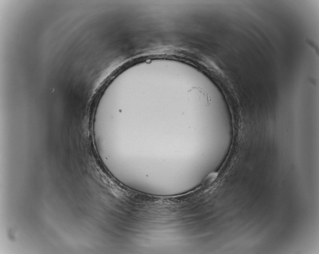 X0000099941216200806131418