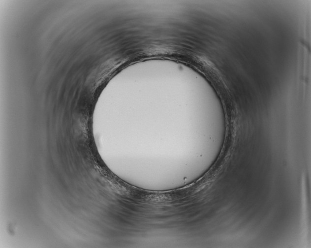 X0000099941217200806131418