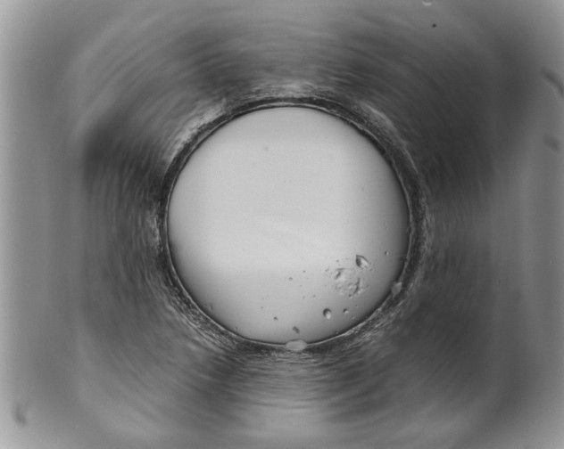 X0000099941218200806131418