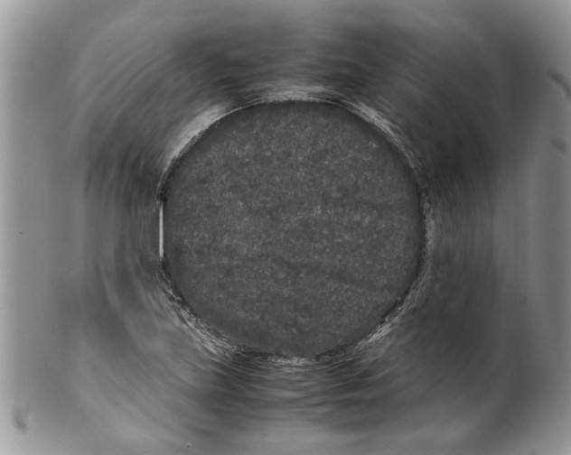 X0000099941219200806131418