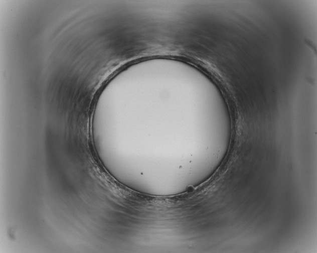 X0000099941220200806131418