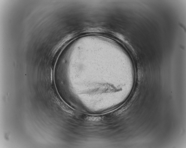 X0000099941221200806131418