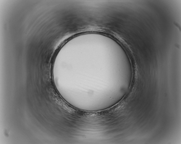 X0000099941222200806131418