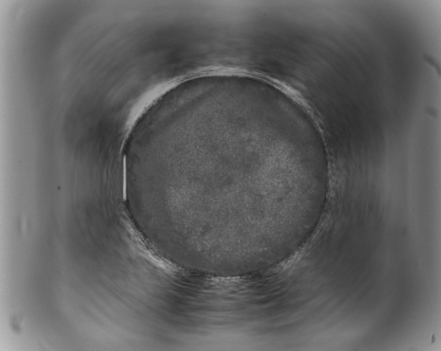 X0000099941223200806131418