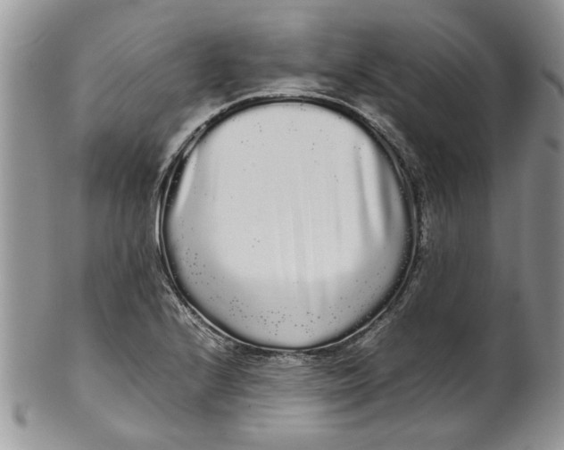 X0000099941224200806131418