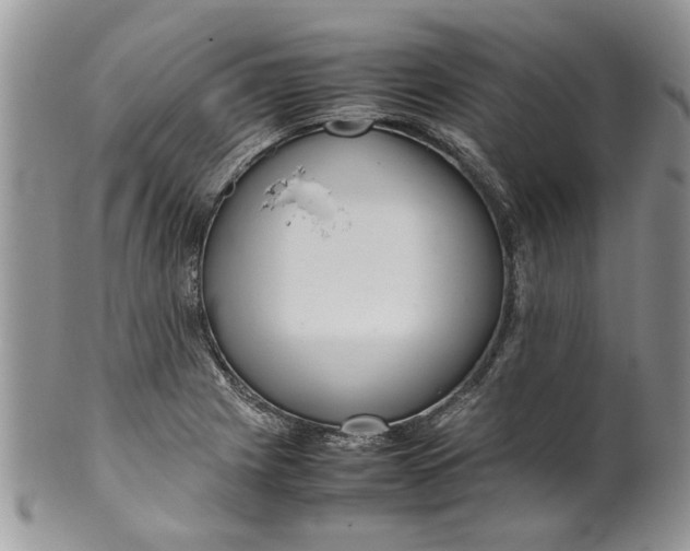 X0000099941225200806131418