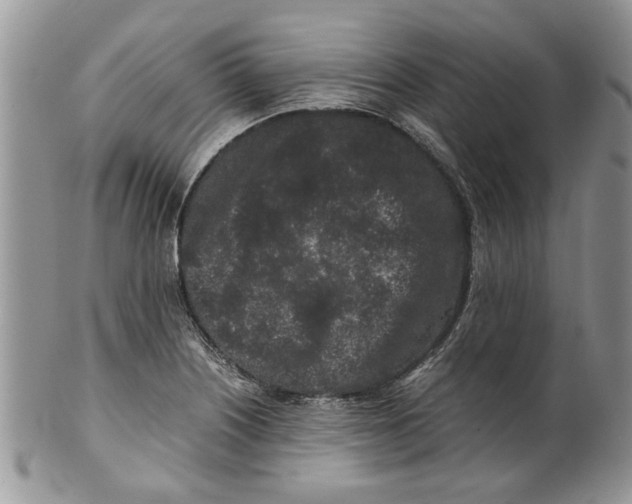 X0000099941226200806131418