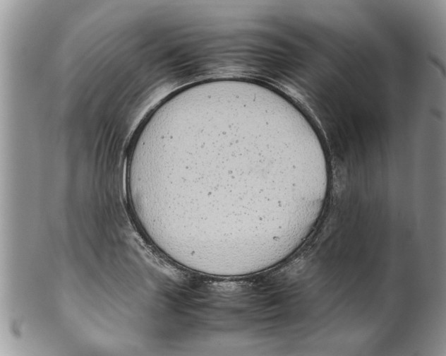 X0000099941227200806131418