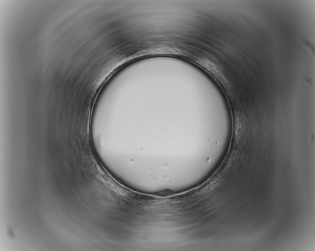 X0000099941228200806131418