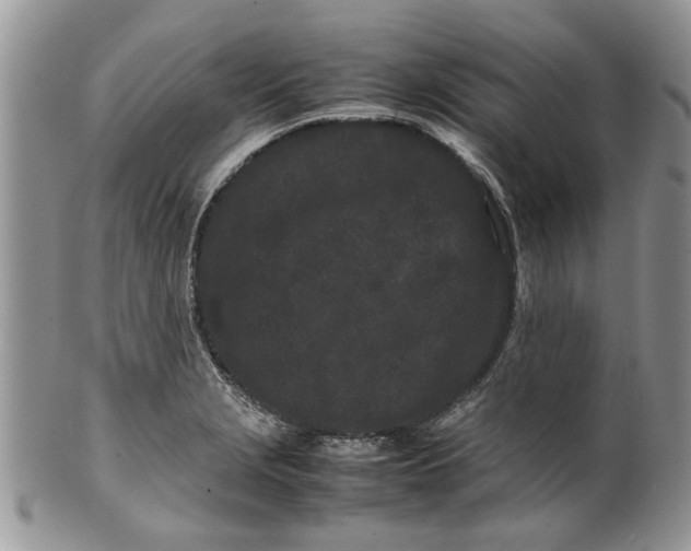 X0000099941229200806131418