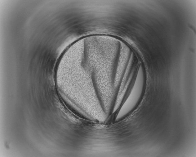 X0000099941230200806131418