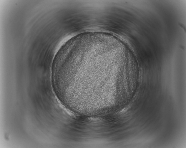 X0000099941231200806131418