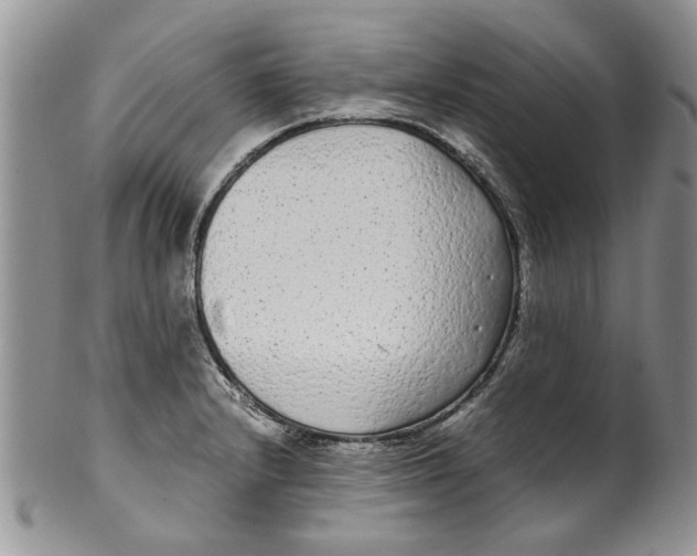 X0000099941232200806131418