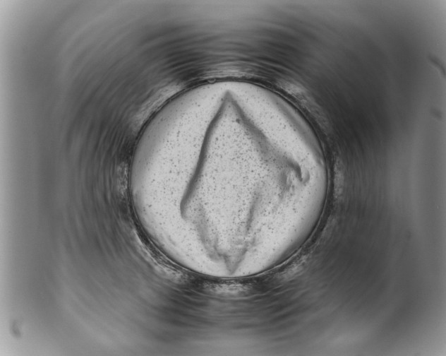 X0000099941233200806131418