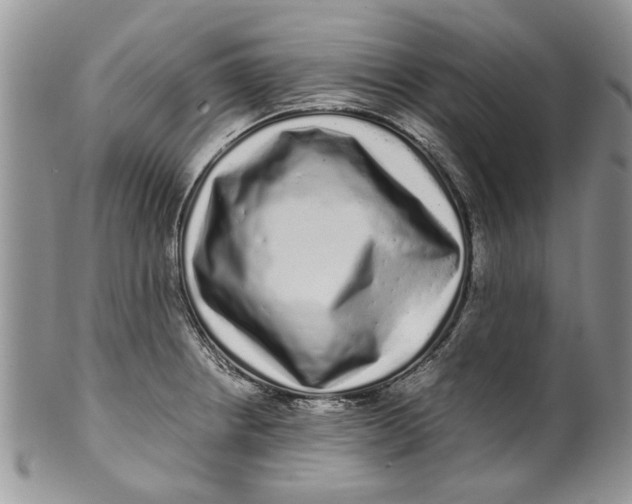 X0000099941234200806131418