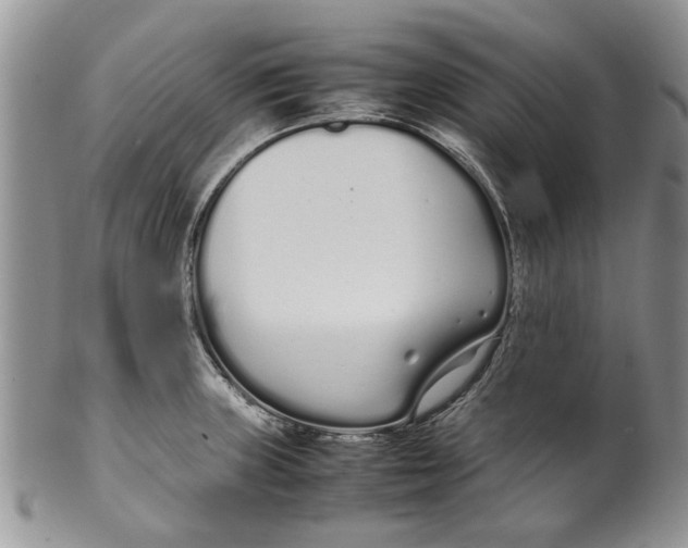 X0000099941235200806131418