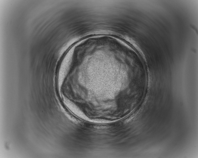 X0000099941237200806131418