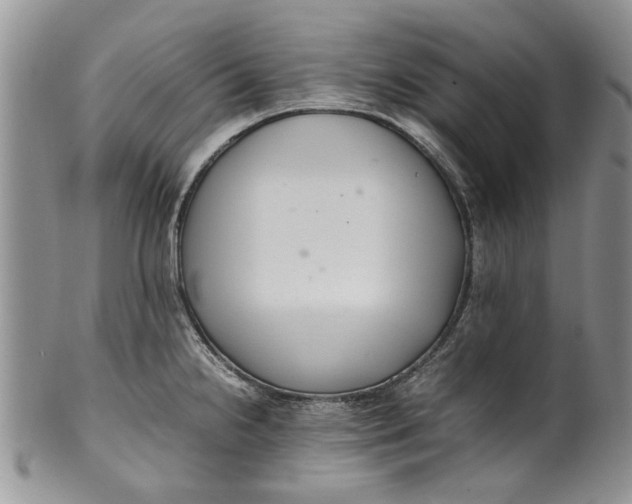 X0000099941238200806131418