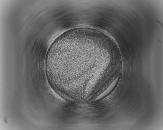 X0000099941239200806131418