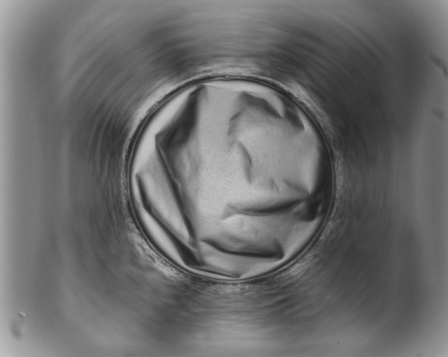 X0000099941240200806131418