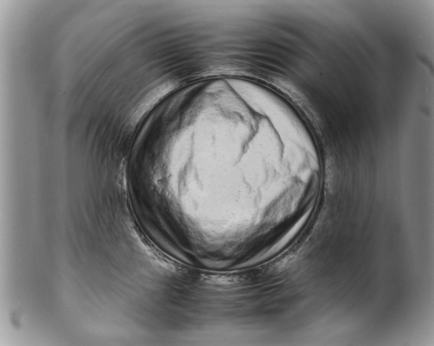 X0000099941241200806131418