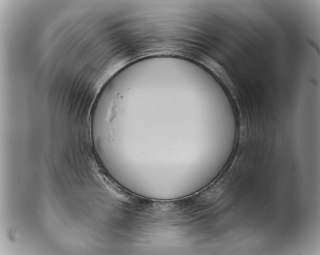 X0000099941242200806131418