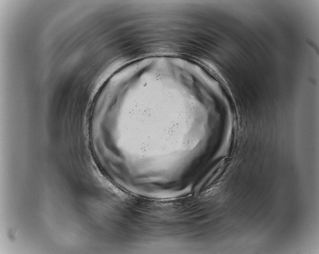 X0000099941243200806131418