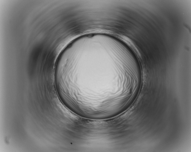 X0000099941244200806131418